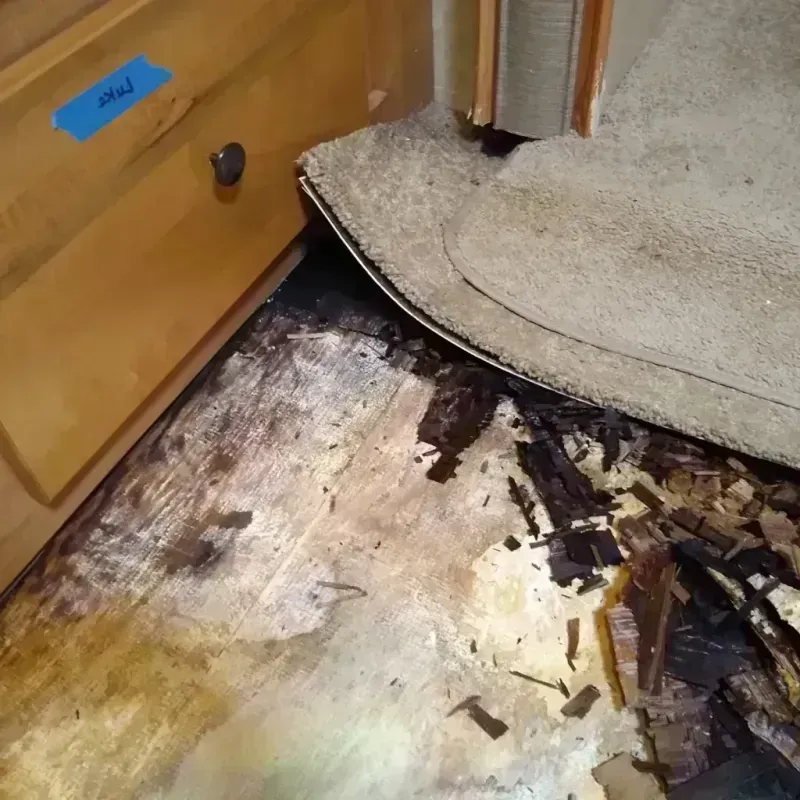 Best Wood Floor Water Damage Service in Montezuma County, CO